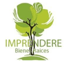 IBR